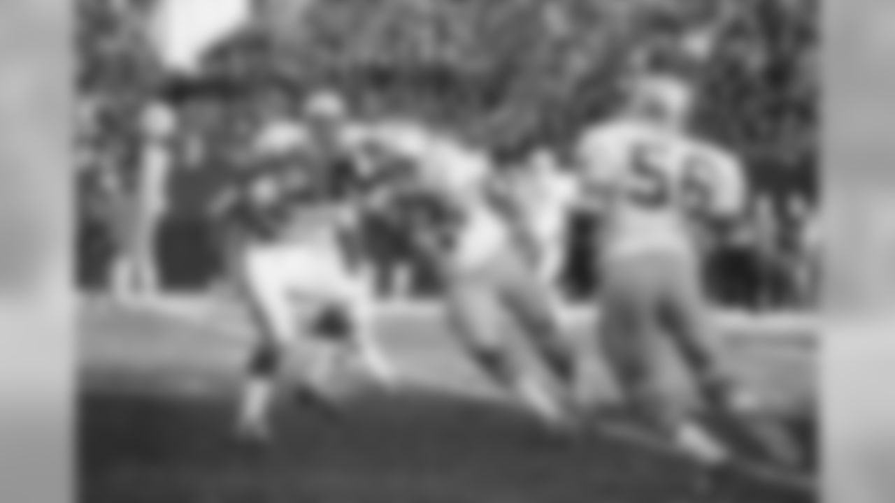 Fran Tarkenton Minnesota Viking? Quarterback, with a host of passing records in his Pocket, many times scrambles, and sometimes unsuccessfully. Here in a game this year he is about to be sacked by Seattle Seahawks tackle Dick Harris (77) on Dec. 14, 1976. The Vikings host the Washington Redskins on December 18 in an NFL Playoff Game. (AP Photo)