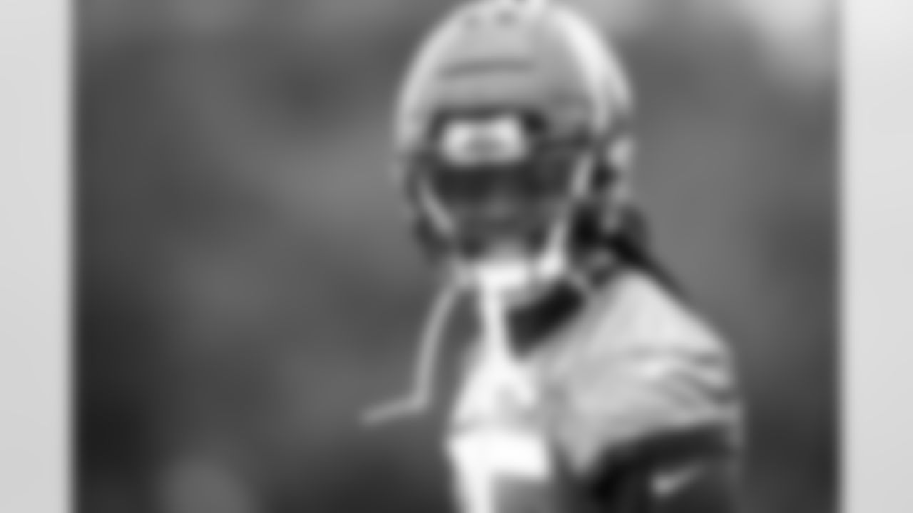 RB D'Ernest Johnson (25)